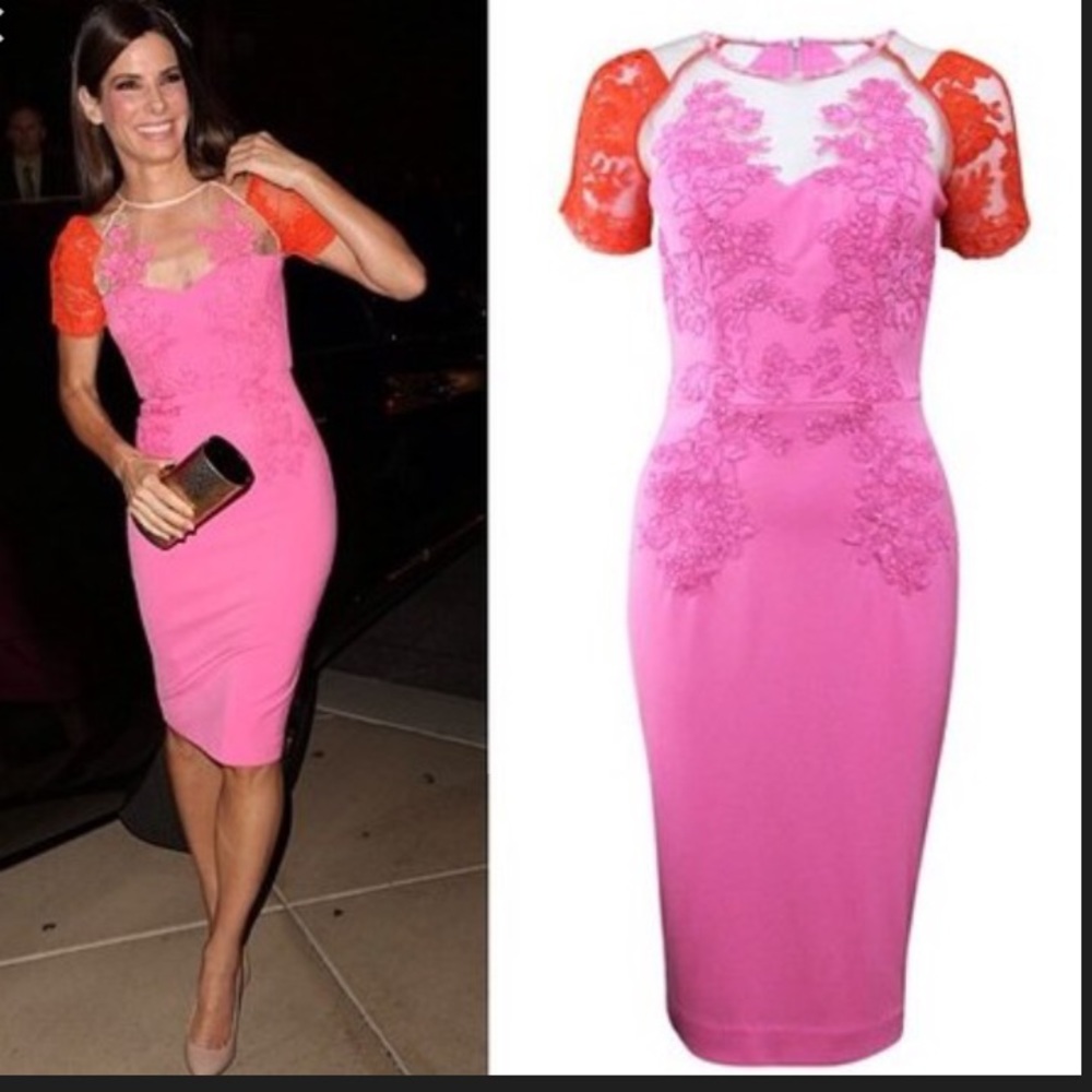 Alex Perry Dress